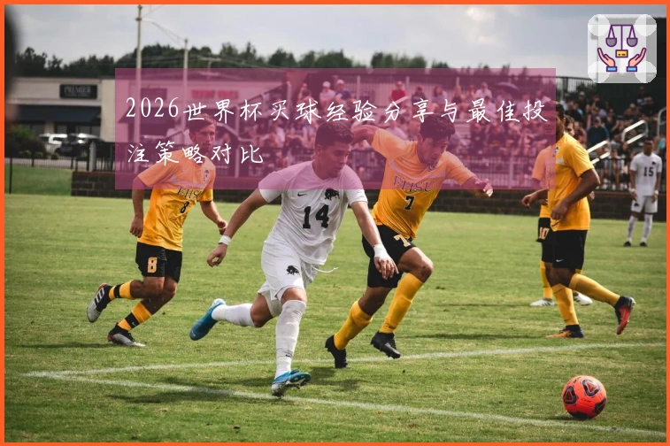 2026世界杯买球经验分享与最佳投注策略对比