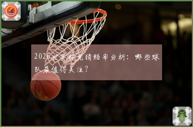 2026世界杯竞猜赔率分析：哪些球队最值得关注？