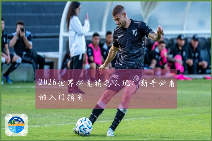 2026世界杯竞猜怎么玩？新手必看的入门指南