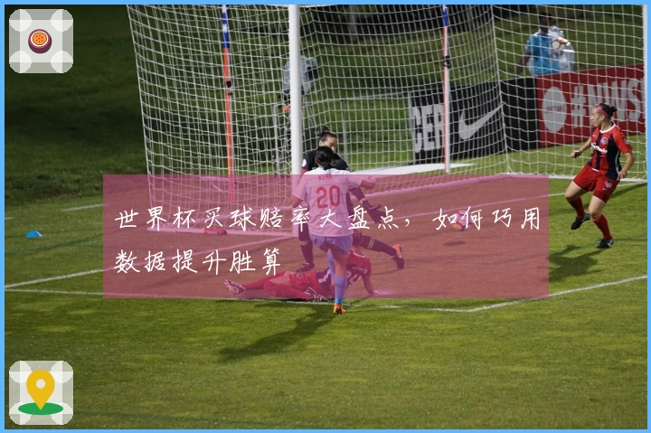 世界杯买球赔率大盘点，如何巧用数据提升胜算