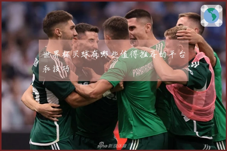 世界杯买球有哪些值得推荐的平台和技巧