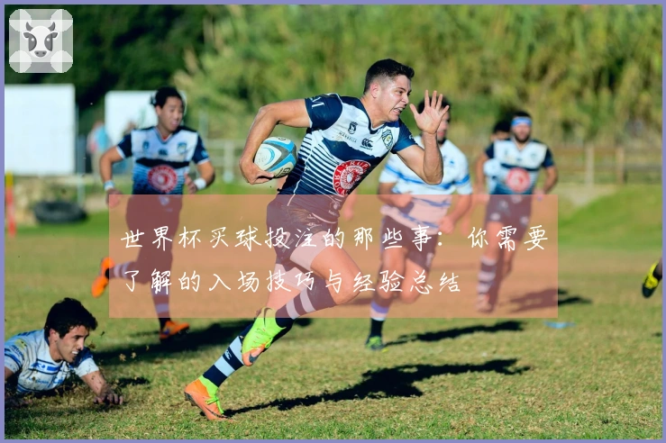 世界杯买球投注的那些事：你需要了解的入场技巧与经验总结