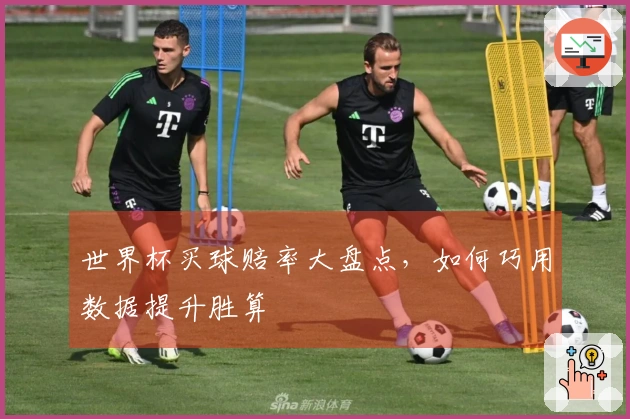 世界杯买球赔率大盘点，如何巧用数据提升胜算
