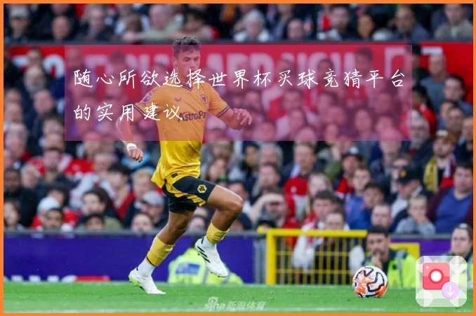 随心所欲选择世界杯买球竞猜平台的实用建议