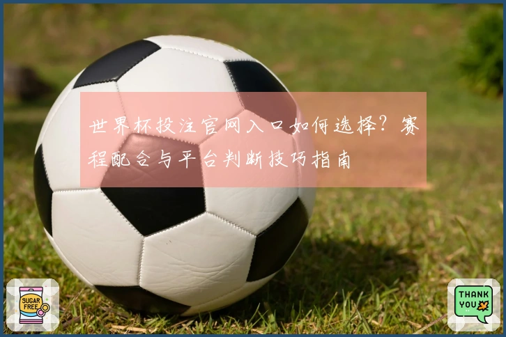 世界杯投注官网入口如何选择？赛程配合与平台判断技巧指南